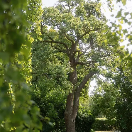 Wonderful Pedersminde Ærøskøbing