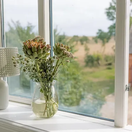 Wonderful Pedersminde Villa *