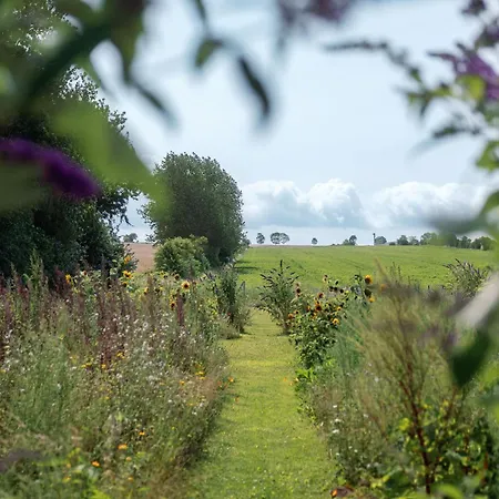 Wonderful Pedersminde